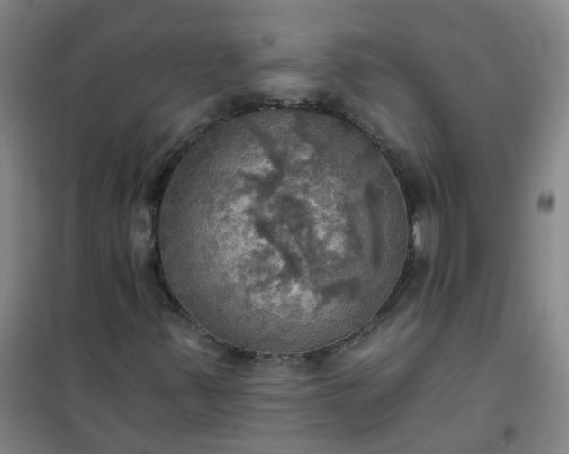 X0000101161347200807111019