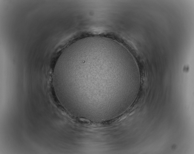 X0000101161349200807111019