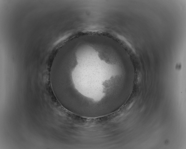 X0000101161350200807111019