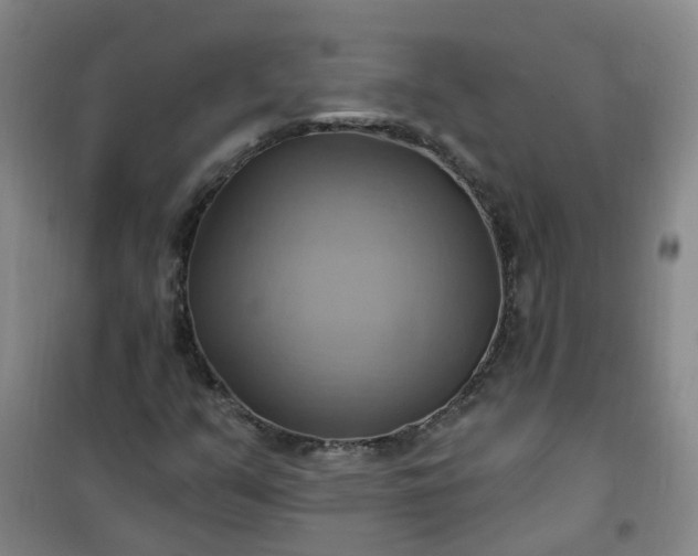 X0000101161351200807111019