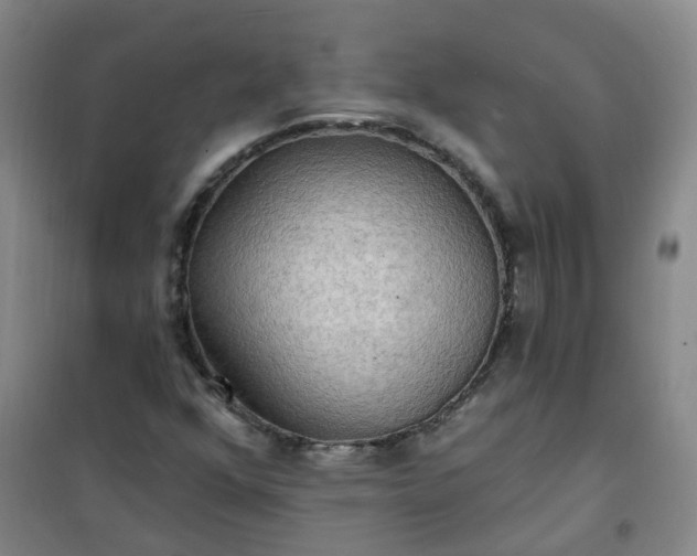 X0000101161352200807111019