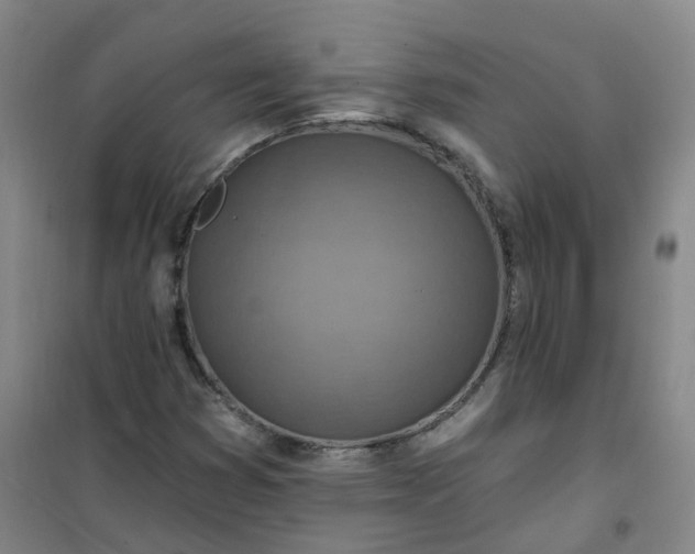 X0000101161353200807111019