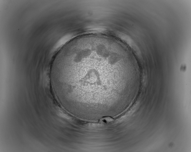 X0000101161354200807111019