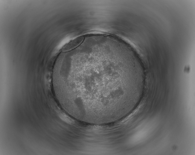 X0000101161355200807111019