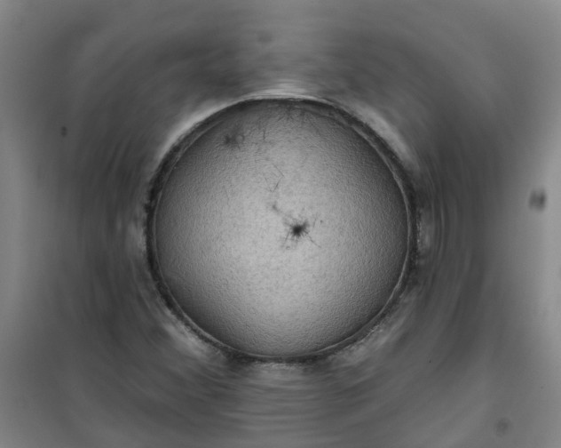 X0000101161356200807111019