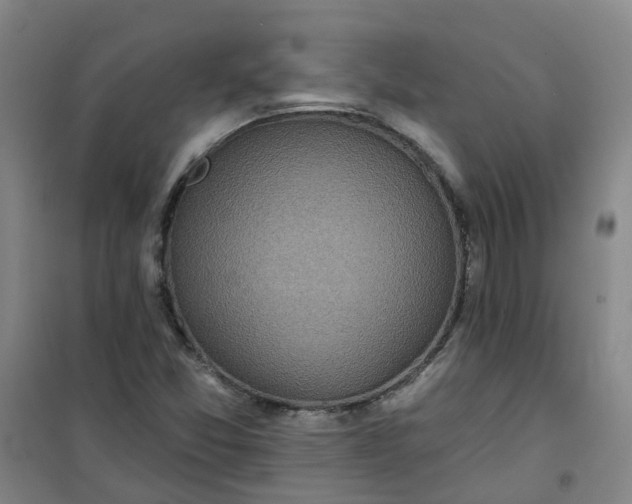 X0000101161357200807111019