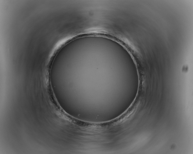 X0000101161358200807111019