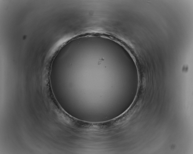 X0000101161359200807111019