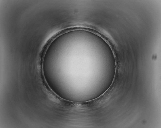 X0000101161360200807111019