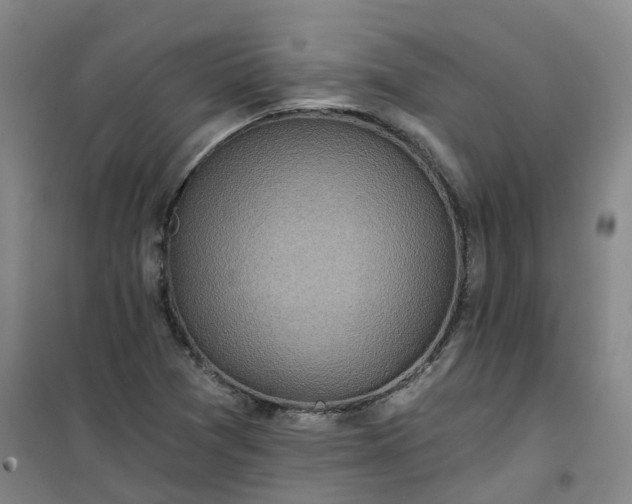 X0000101161361200807111019