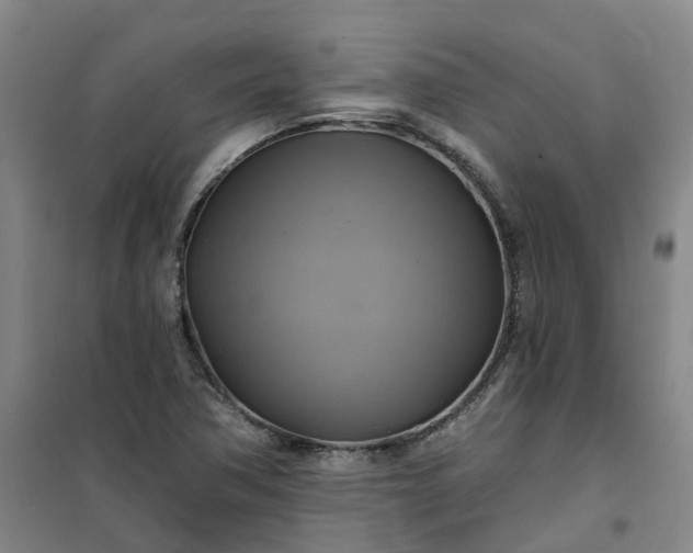 X0000101161362200807111019