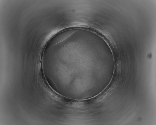 X0000101161363200807111019