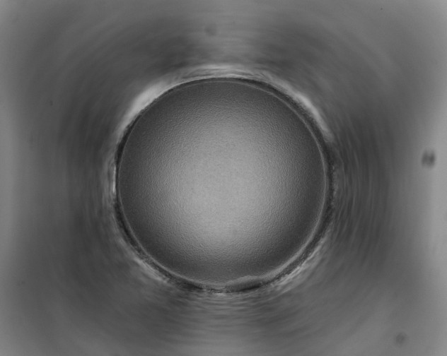 X0000101161365200807111019