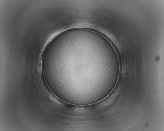 X0000101161366200807111019