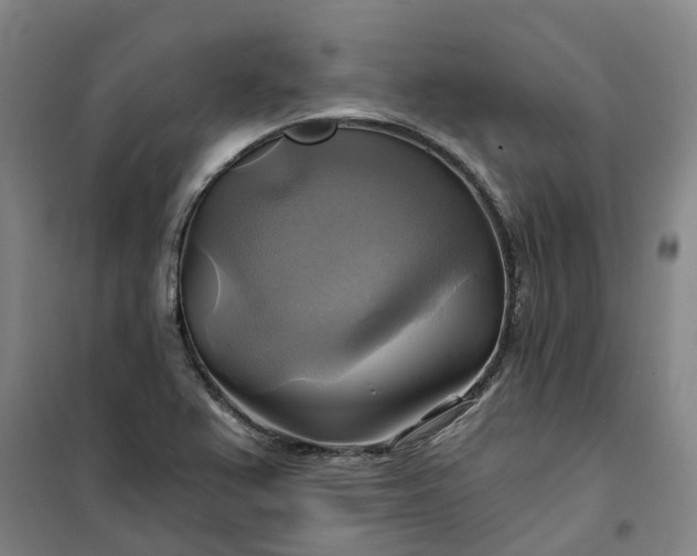 X0000101161367200807111019