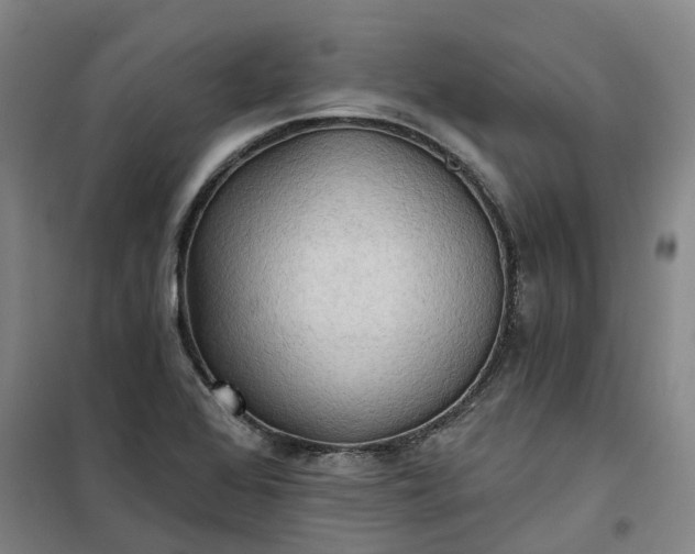 X0000101161368200807111019