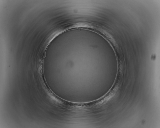 X0000101161369200807111019