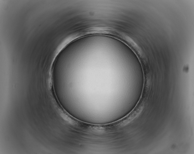 X0000101161370200807111019