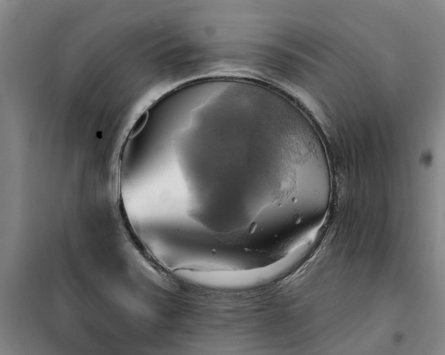 X0000101161371200807111019