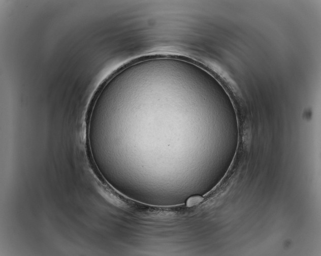 X0000101161372200807111019