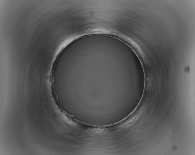 X0000101161373200807111019