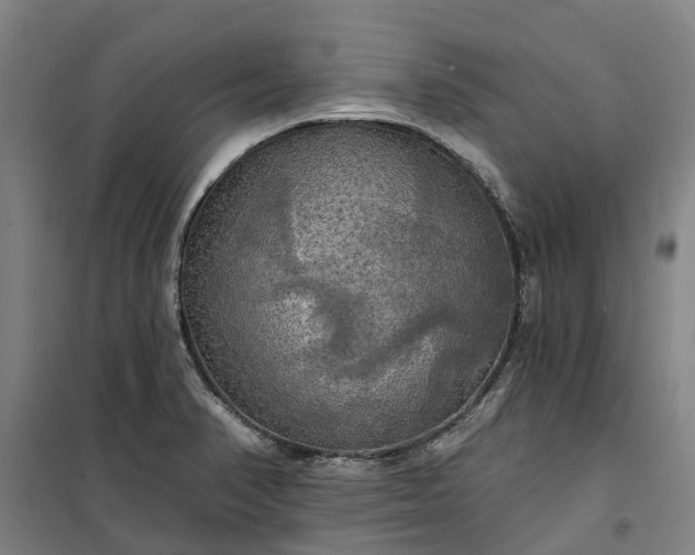 X0000101161374200807111019