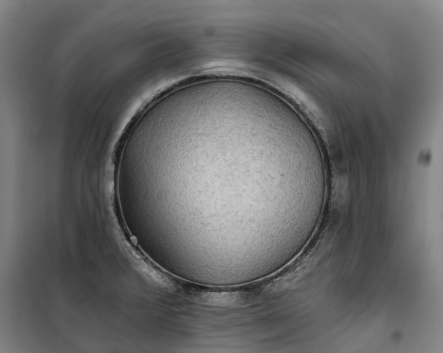 X0000101161376200807111019