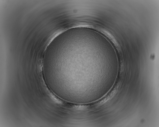 X0000101161377200807111019