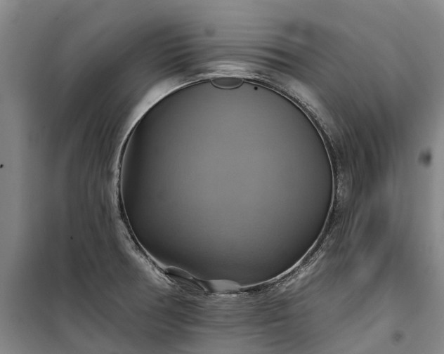 X0000101161378200807111018