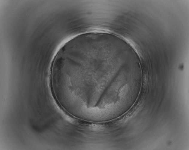 X0000101161379200807111018