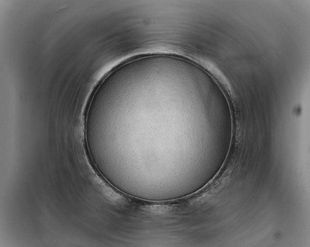 X0000101161380200807111018