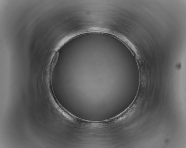 X0000101161381200807111018