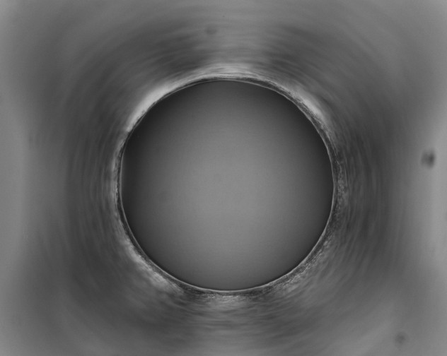 X0000101161382200807111018