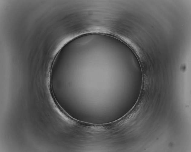 X0000101161383200807111018