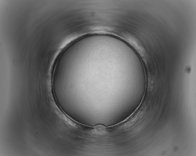 X0000101161384200807111018