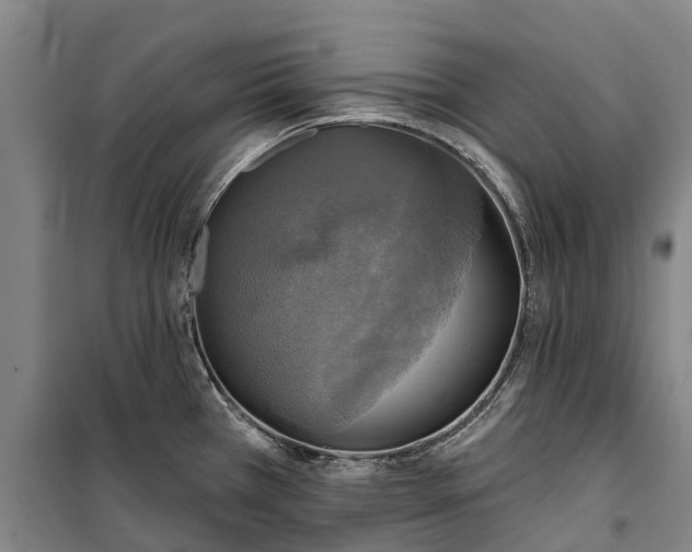 X0000101161385200807111018