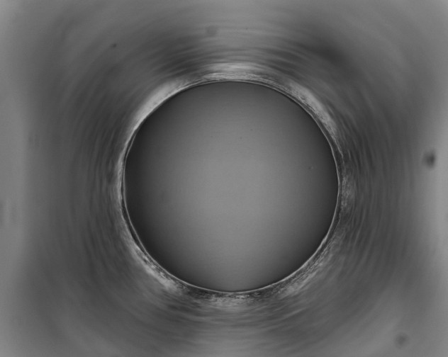 X0000101161386200807111018