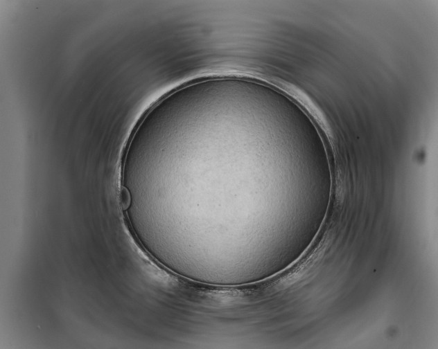 X0000101161388200807111018