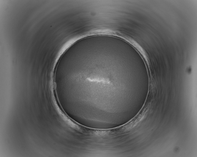 X0000101161389200807111018