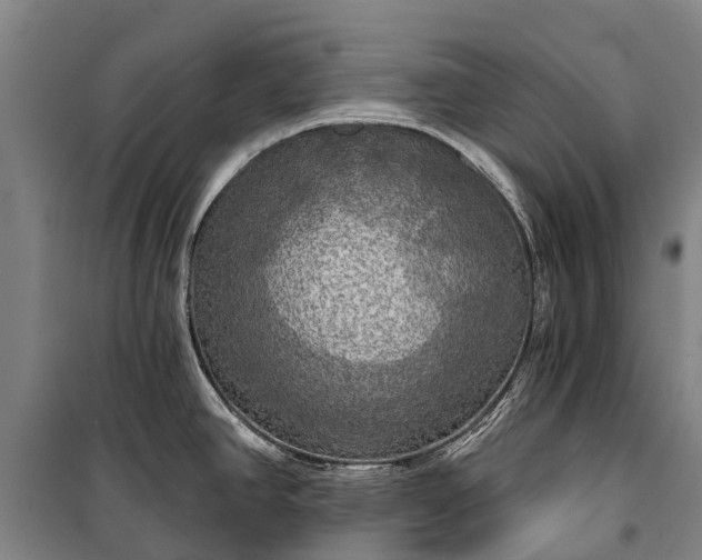 X0000101161390200807111018