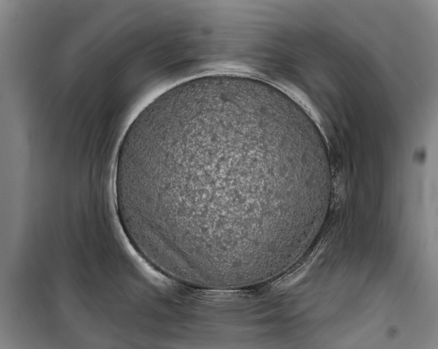 X0000101161391200807111018