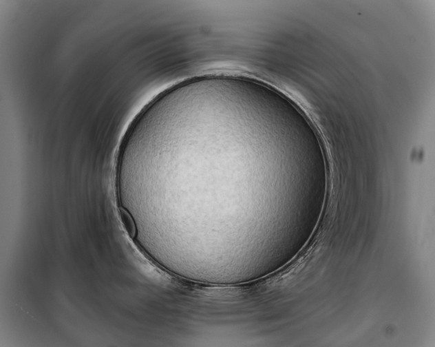 X0000101161392200807111018