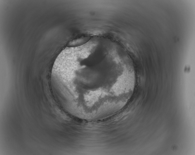 X0000101161393200807111017