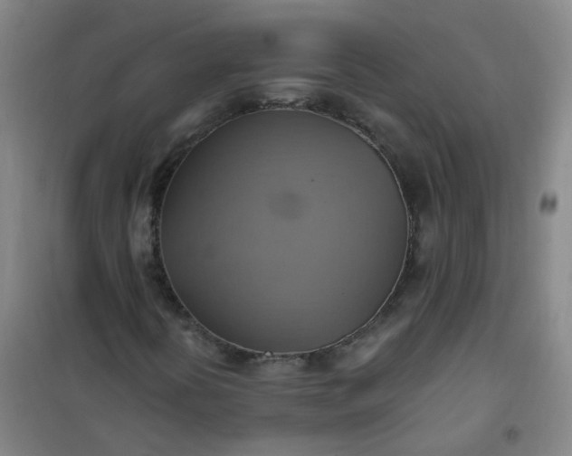 X0000101161394200807111017