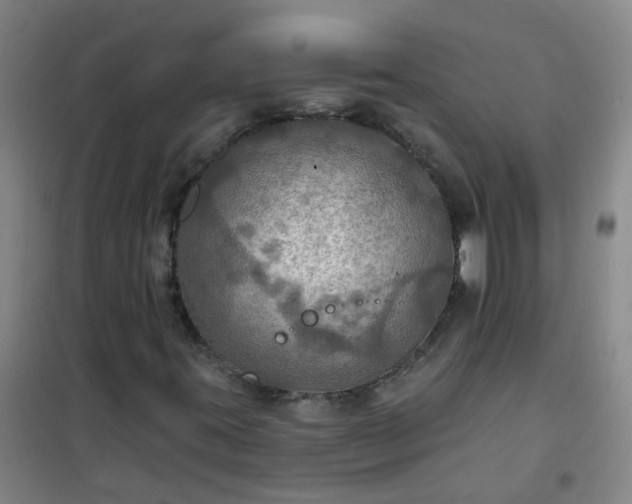 X0000101161395200807111017