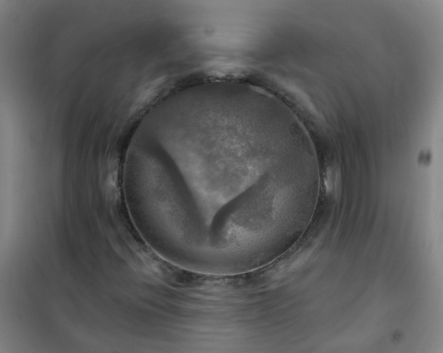 X0000101161396200807111018