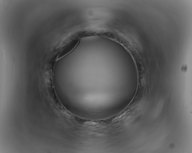 X0000101161397200807111018