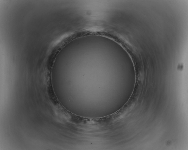 X0000101161398200807111018