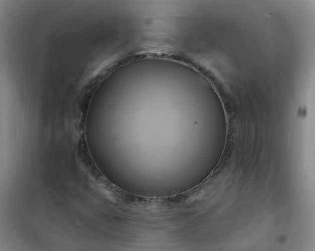 X0000101161399200807111018