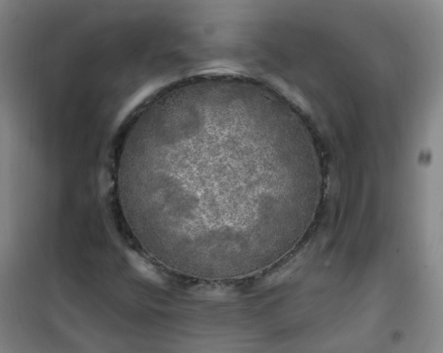 X0000101161400200807111018